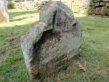 image of grave number 723101